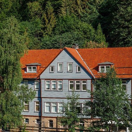 FeWo-Lerbachtal Osterode am Harz Exterior foto