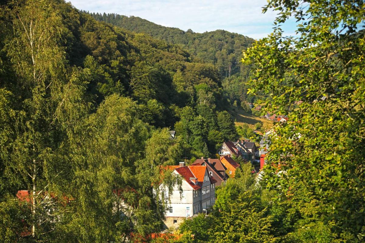 FeWo-Lerbachtal Osterode am Harz Exterior foto