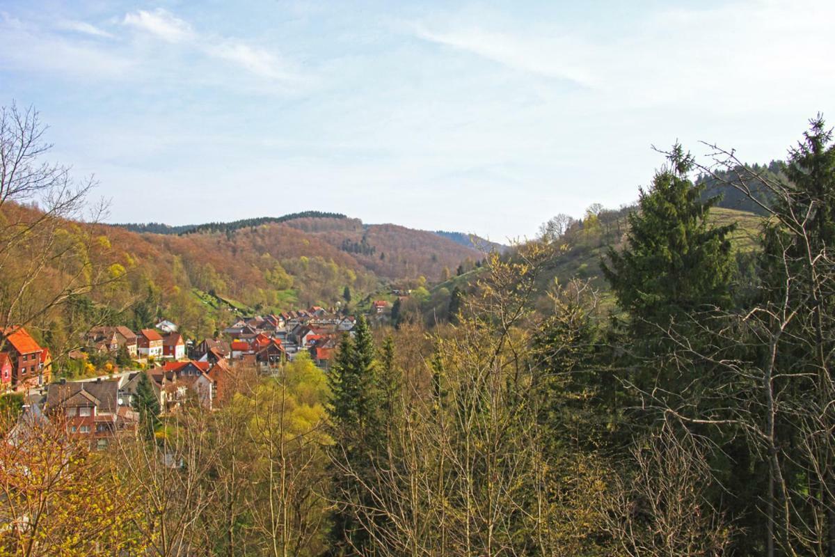 FeWo-Lerbachtal Osterode am Harz Exterior foto