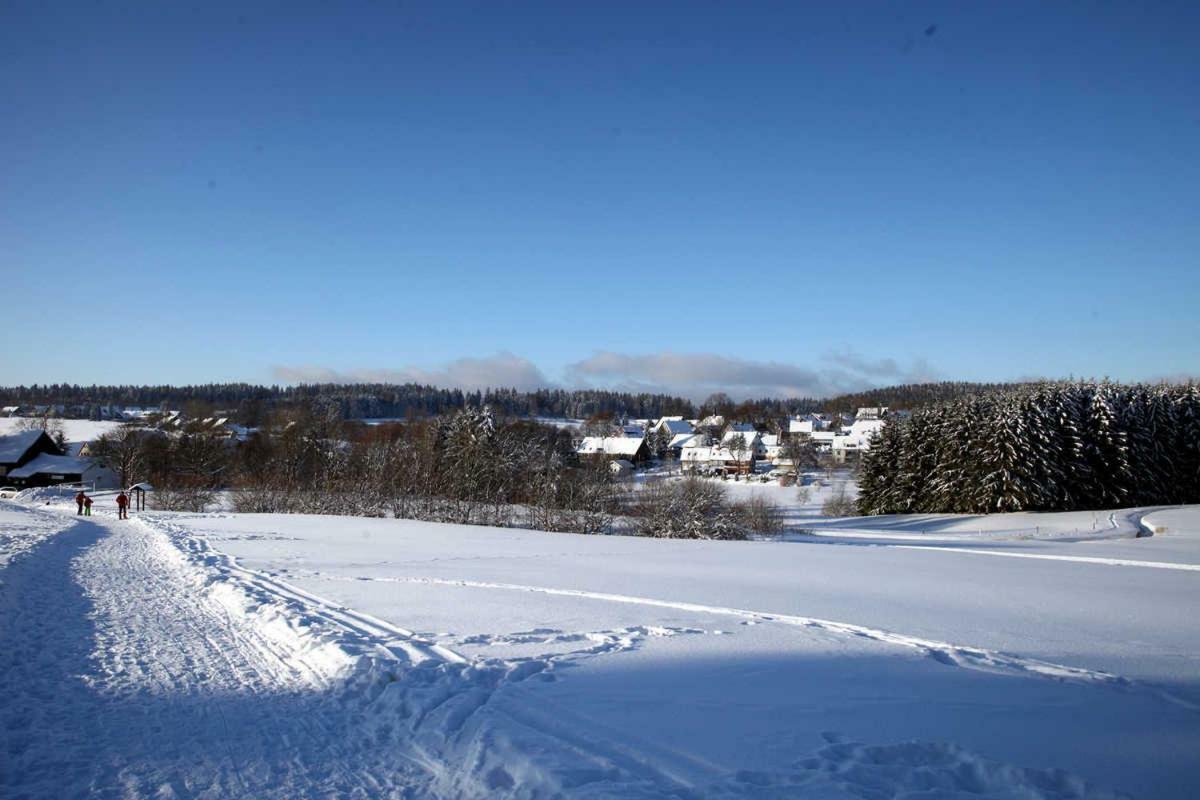 FeWo-Lerbachtal Osterode am Harz Exterior foto